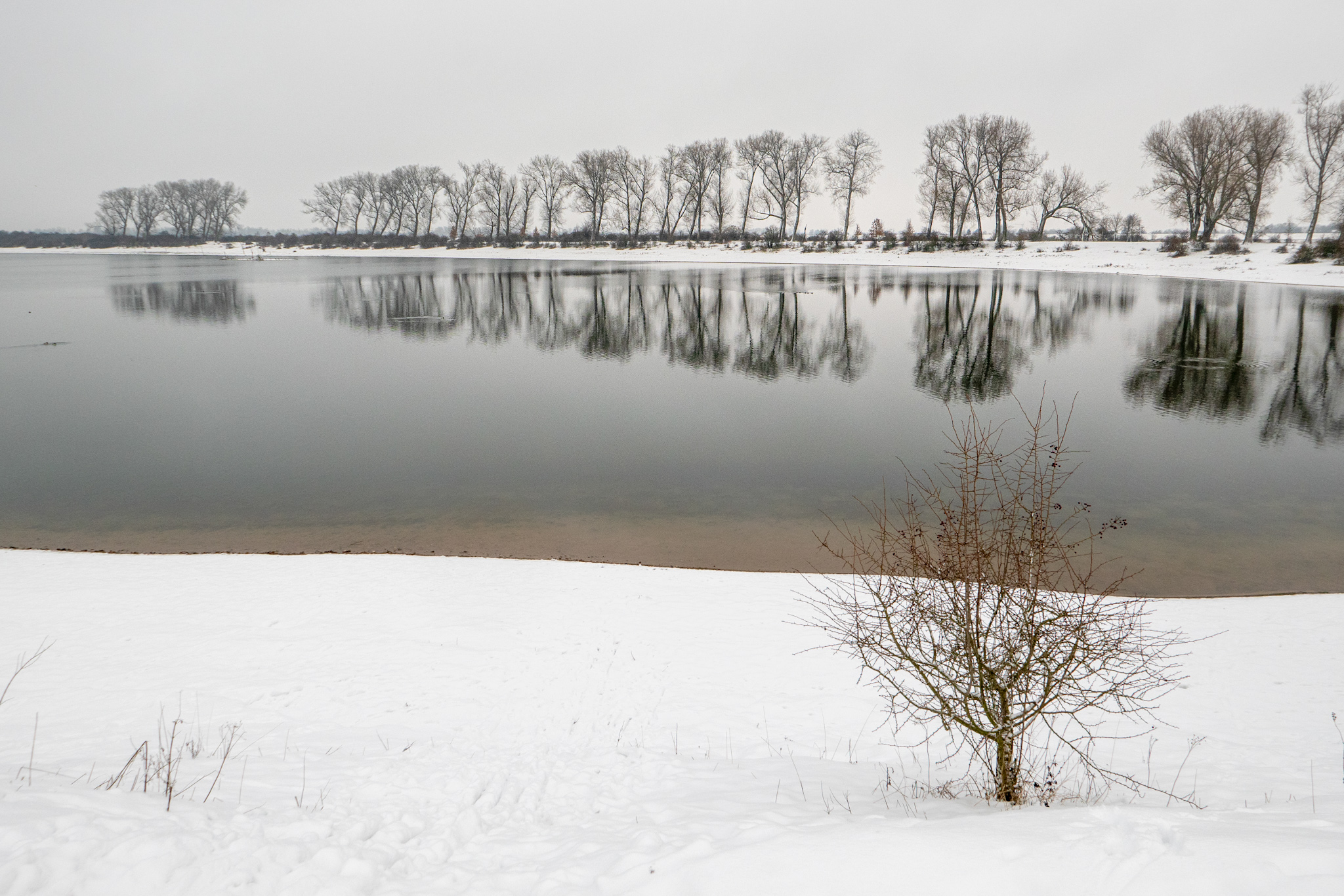 Foto van de maand — februari 2026