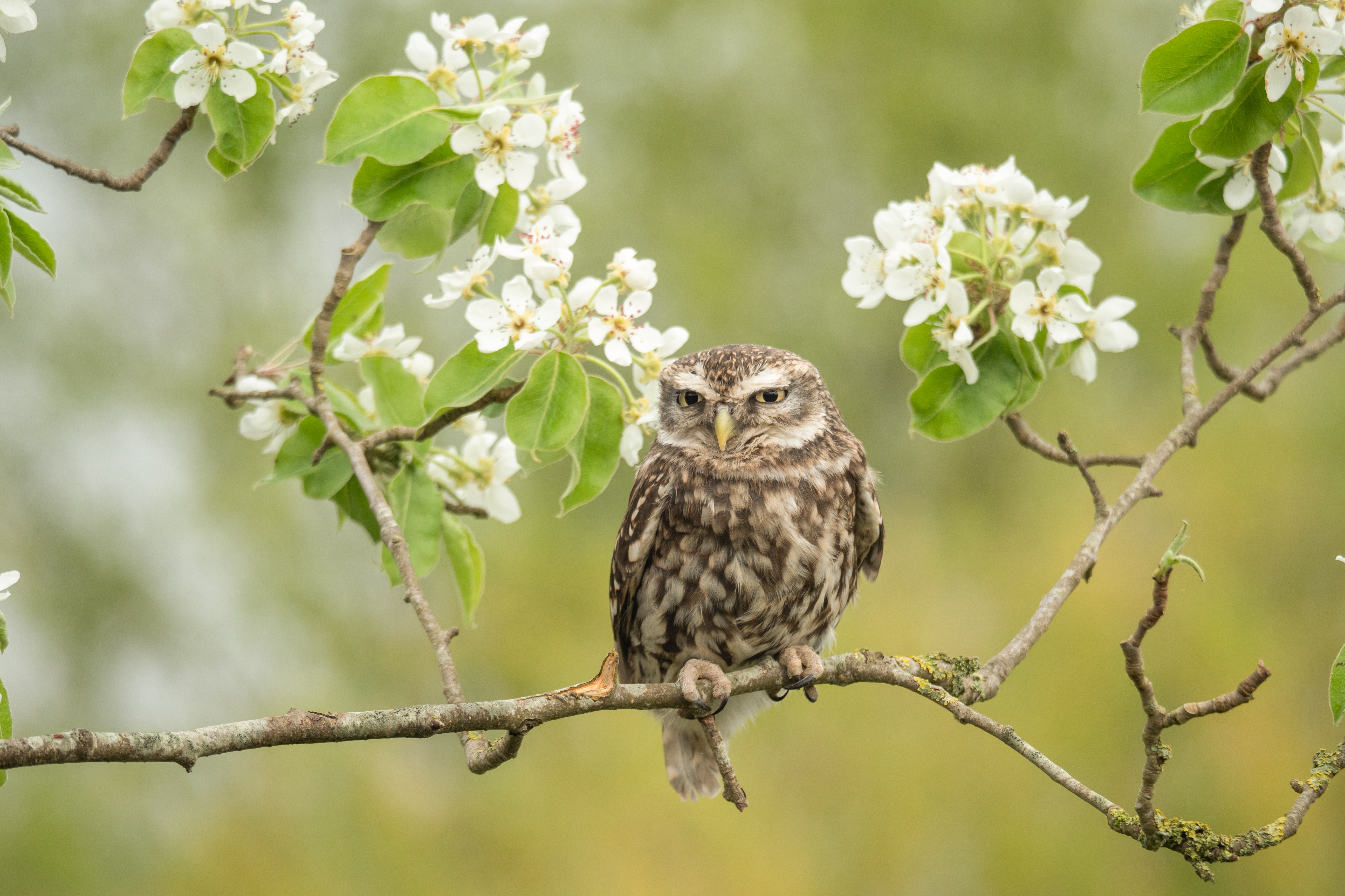 Foto van de maand — mei 2026