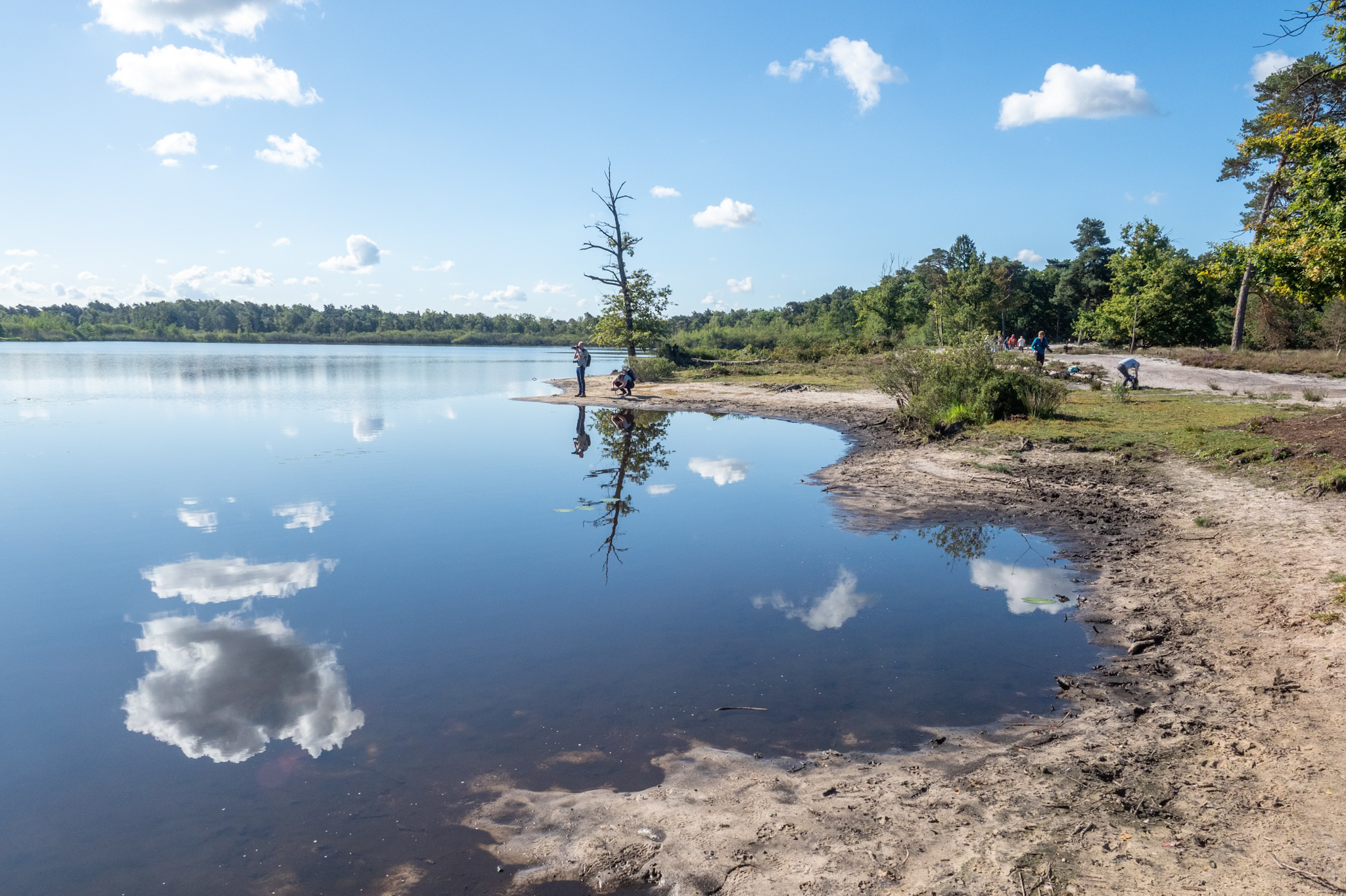 Foto van de maand — september 2026