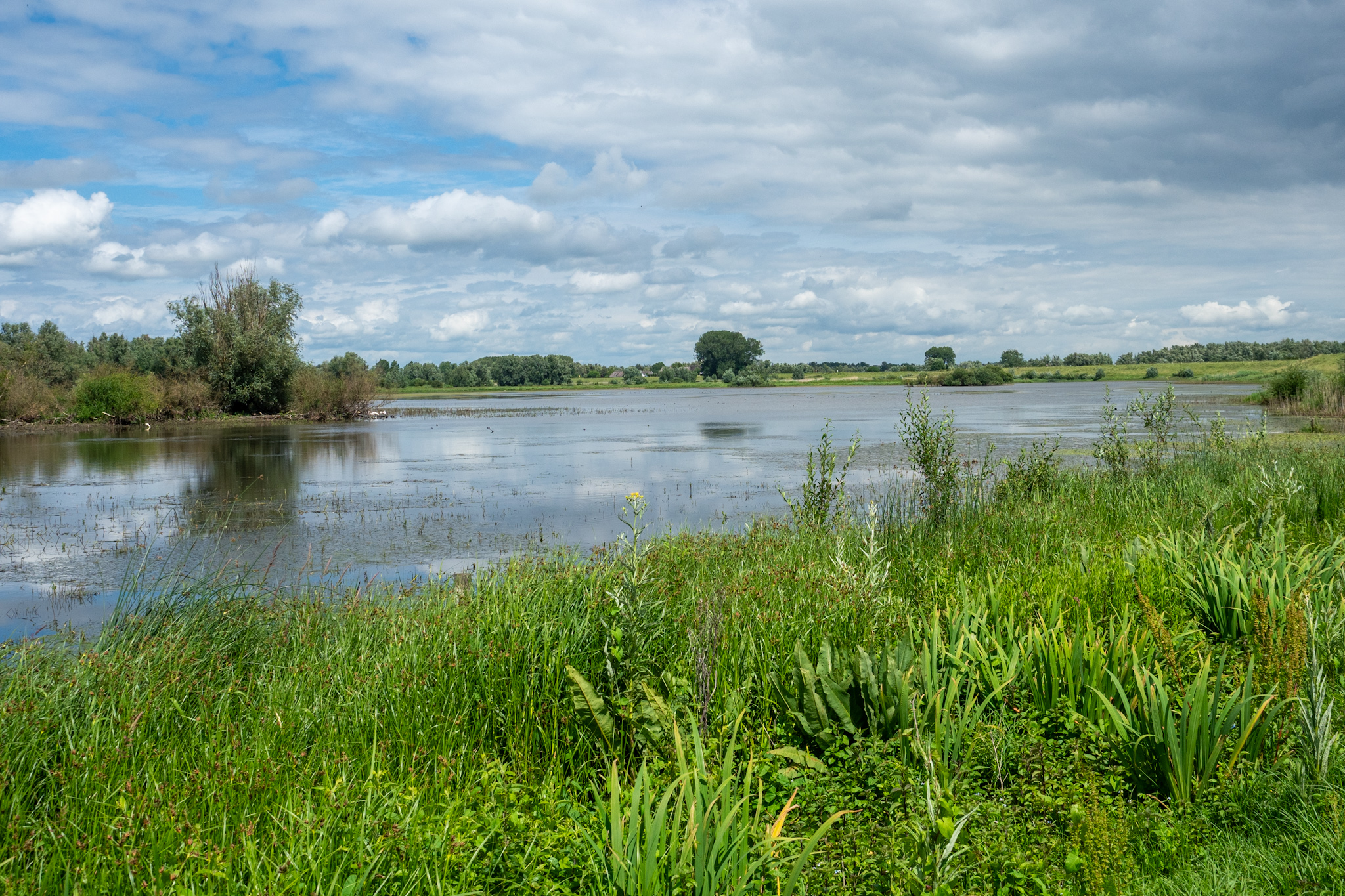 Oude Waal Ooijpolder