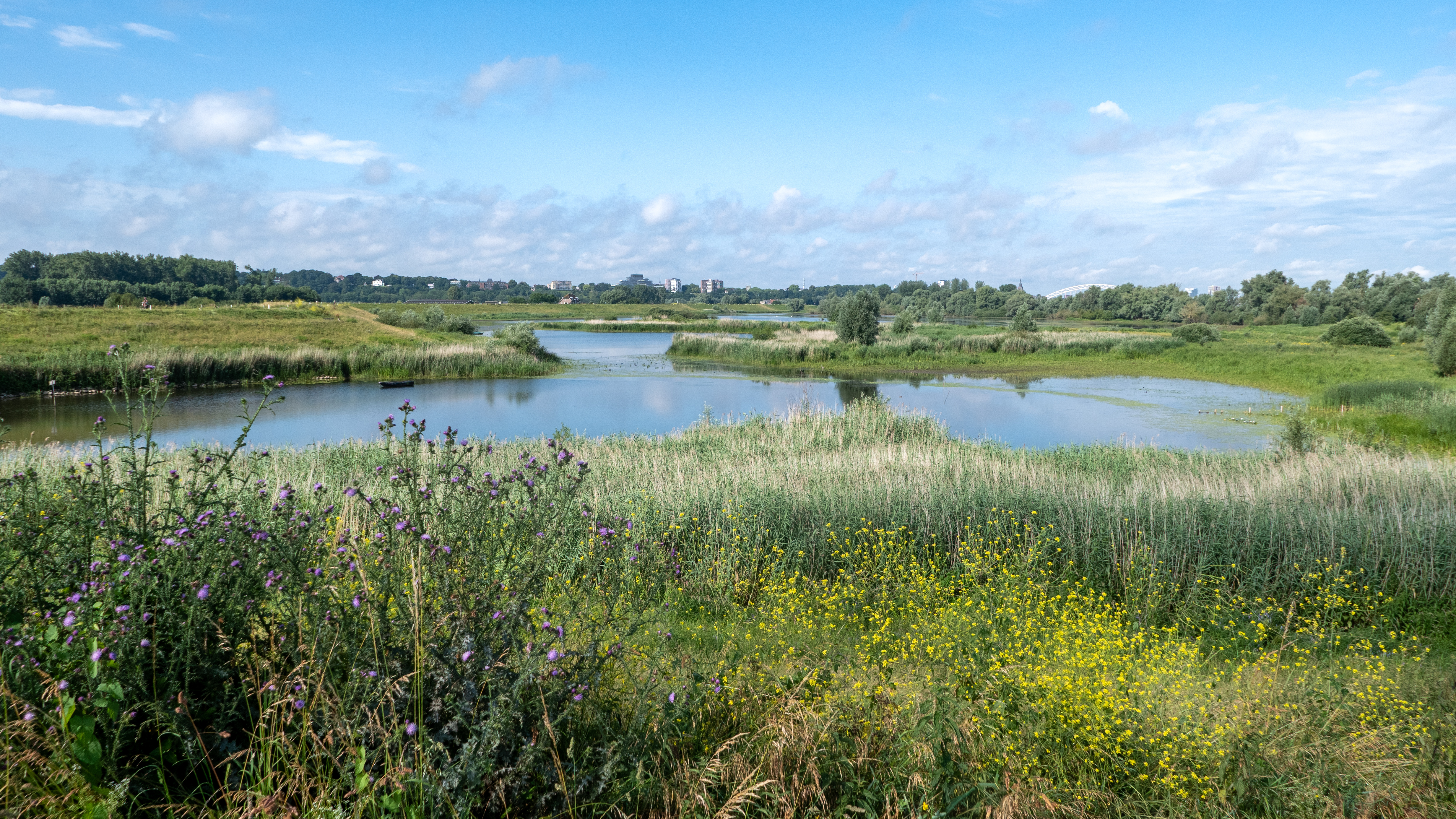 Oude Waal Ooijpolder