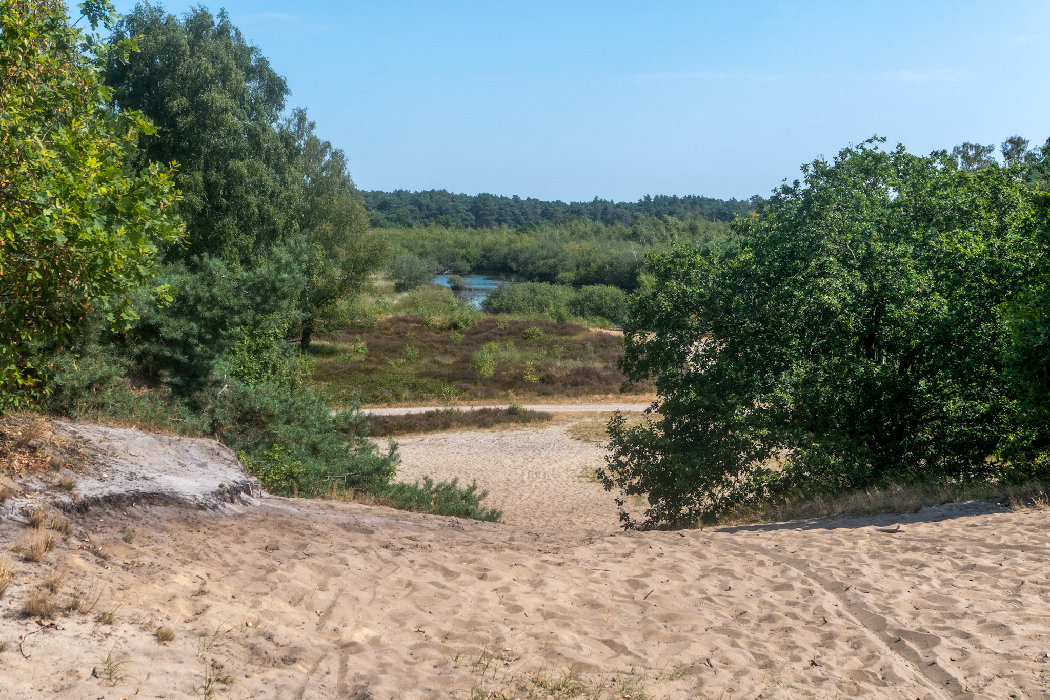 23 augustus Eendenmeer Nieuw Bergen