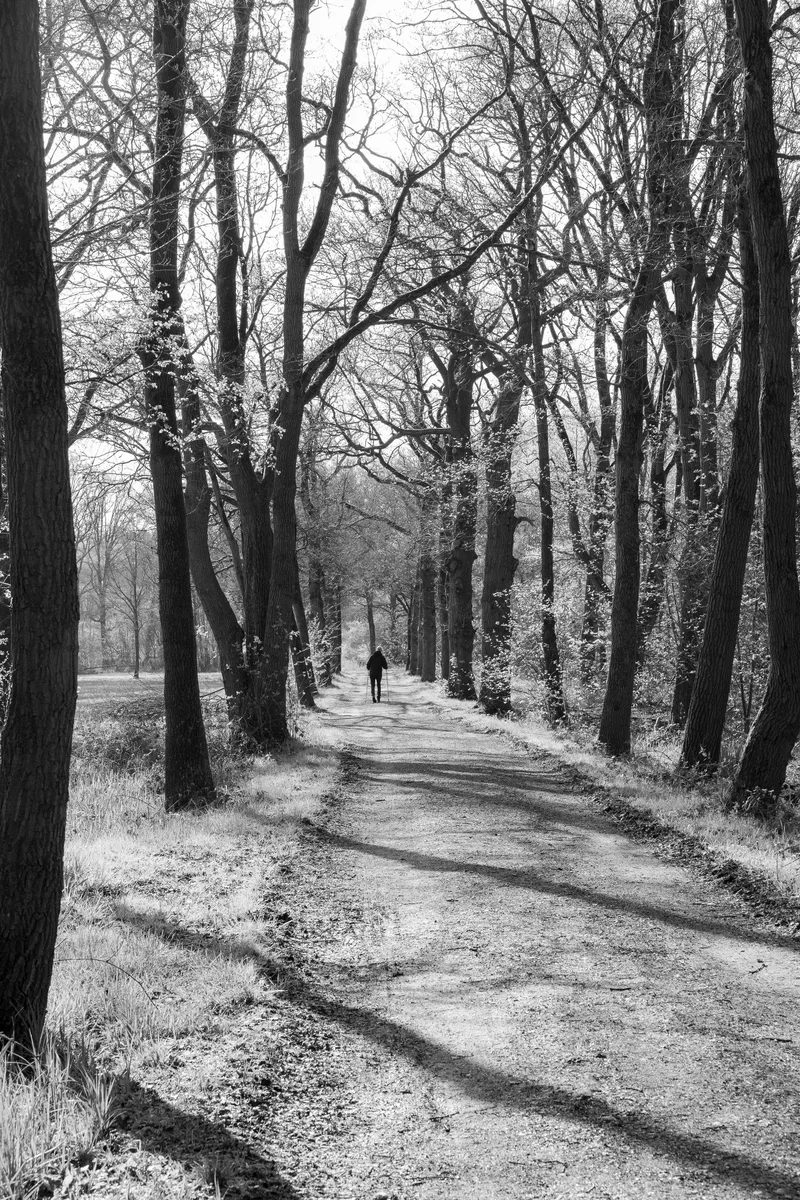 Natuursfeer 