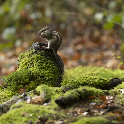 151023 Wandelbos Tilburg 8795