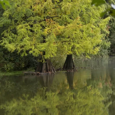 151023 Wandelbos Tilburg 8801