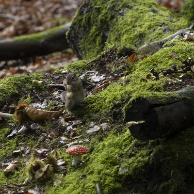 151023 Wandelbos Tilburg 8810