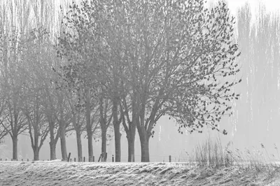 Bisonbaai in wintersfeer