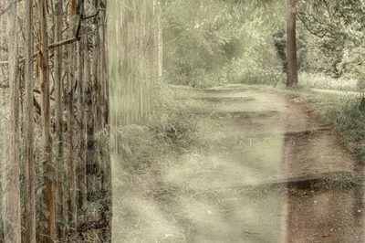 202505 Belmonte Arboretum