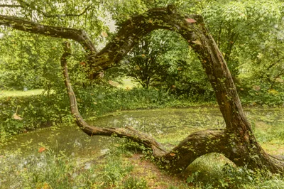 202505 Belmonte Arboretum