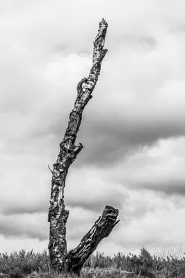 202507 Landgoed De Hamert, Wellerlooi