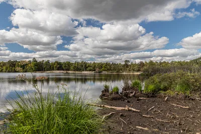 202508 Belversven, Oisterwijk