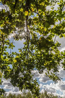 202508 Belversven, Oisterwijk