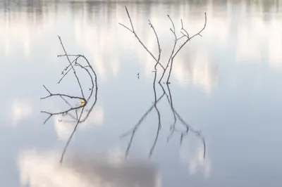 202508 Belversven, Oisterwijk