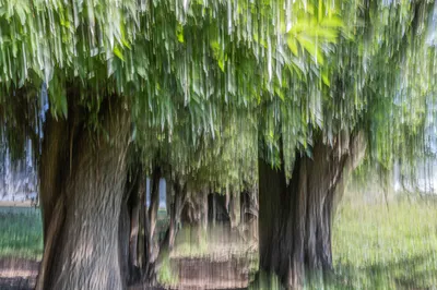 202509 Weurtse Uiterwaarden