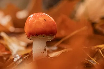 202510 Residence Rhenen