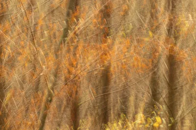 202510 Residence Rhenen