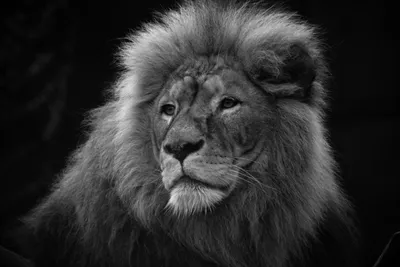 20181116-IMG_4912-bewerkt-2 (Aangepast)