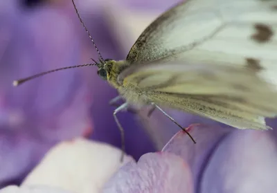 Bewerkt -1669 (Aangepast)