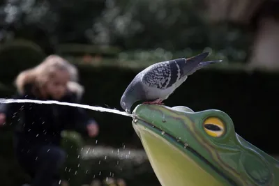 20190317-IMG_6304-bewerkt (Aangepast)