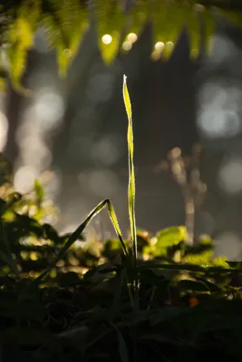 20160520-IMG_9736 (Aangepast)