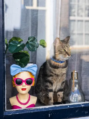 Ine_2026_03_22naamloos-64