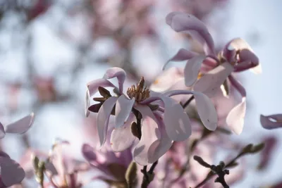 20260322-IMG_4500 (Aangepast)