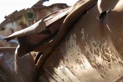 20250918-IMG_2071 (Aangepast)