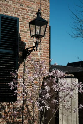 close up in Doesburg