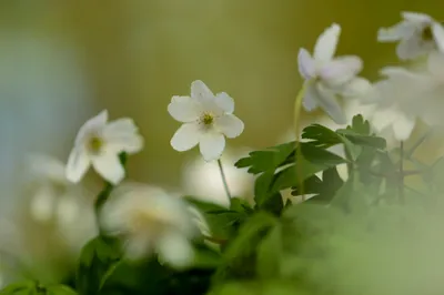 Lentekleuren in De Bruuk
