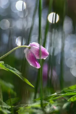 Lentekleuren in De Bruuk