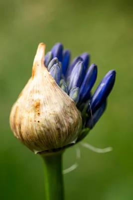 Kasteeltuin Hemmen-6773