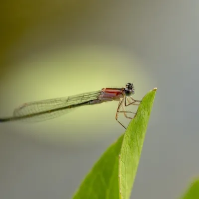 1D4501EF 864D 4407 9A10 A8E3B2D6BC02