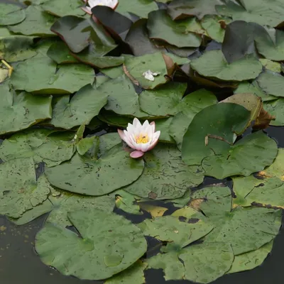 2016 09 03sep foto workshop 002