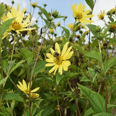 2016 09 03sep foto workshop 003