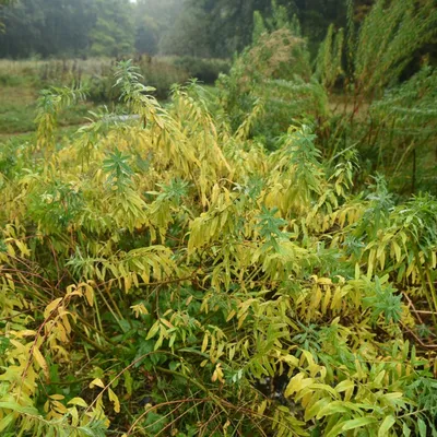 2016 10 15okt foto workshop 002