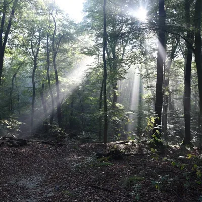 2016 10 23okt De Zelfontspanners 002