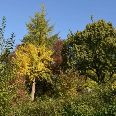 2016 11 05nov foto workshop 007