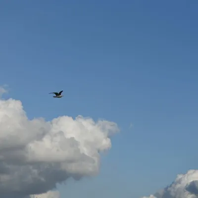 2017 04 15apr Eeemnes Eemland wandeling 012