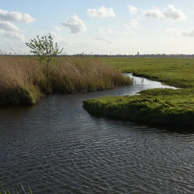 2017 04 15apr Eeemnes Eemland wandeling 015