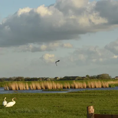 2017 04 15apr Eeemnes Eemland wandeling 022