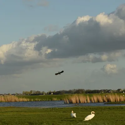 2017 04 15apr Eeemnes Eemland wandeling 023