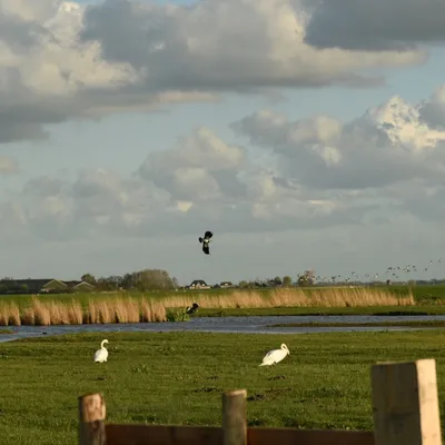 2017 04 15apr Eeemnes Eemland wandeling 025