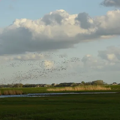 2017 04 15apr Eeemnes Eemland wandeling 028