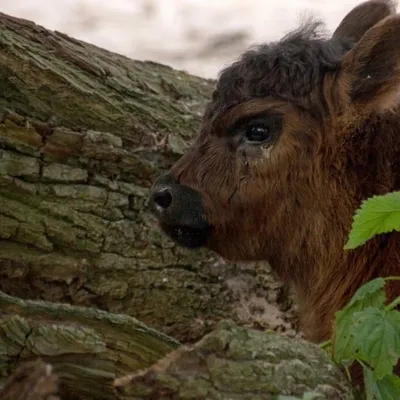 20180527 IMG 0086 Kopie