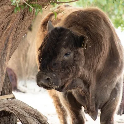 20180527 IMG 0105 Kopie