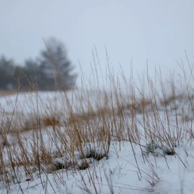 20181216 IMG 0025 Kopie