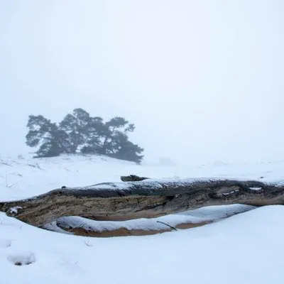 20181216 IMG 0036 Kopie