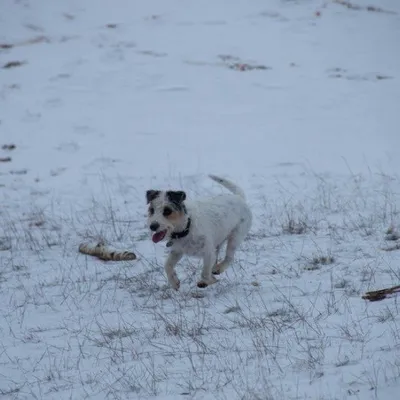 20181216 IMG 0062 Kopie