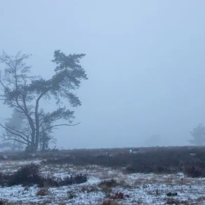 20181216 IMG 0122 Kopie