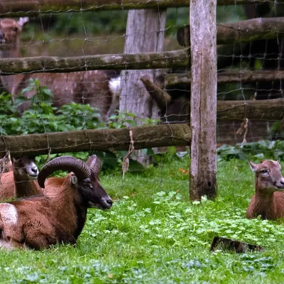 2019 10 20 Anholter Schweiz Isselburg 08 web